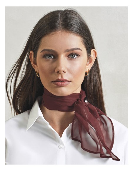 PRE-PR740-Womens Colours Collection Chiffon Scarf 2